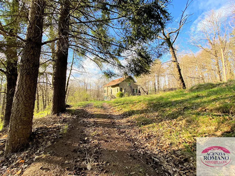 Immagine 6 di Rustico / casale in vendita  in Via Marasca 28 a Urbe
