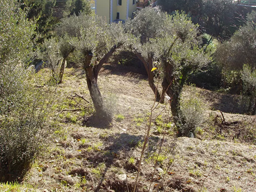 Immagine 11 di Villa in vendita  a Varazze