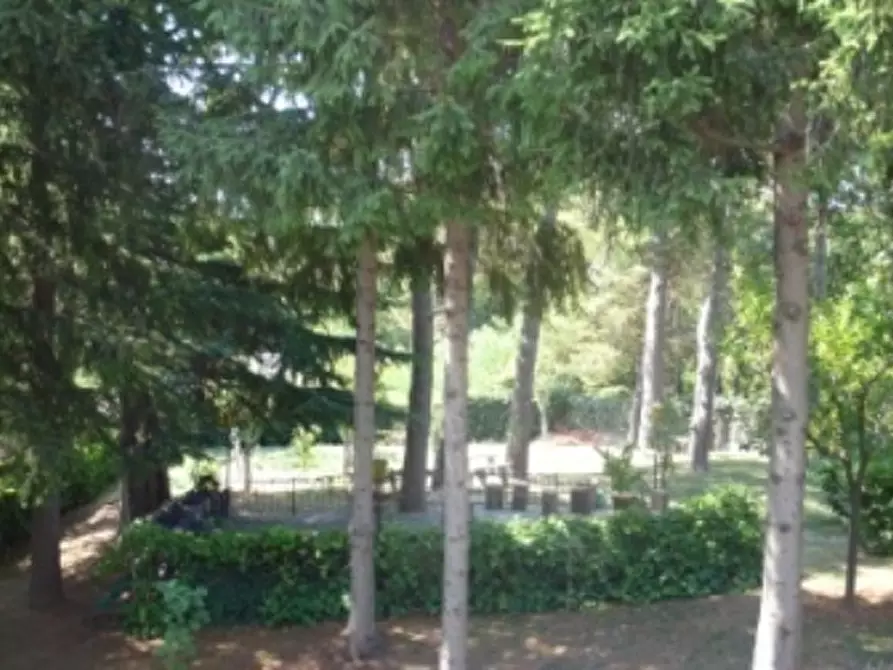 Immagine 18 di Casa bifamiliare in vendita  a Sassello