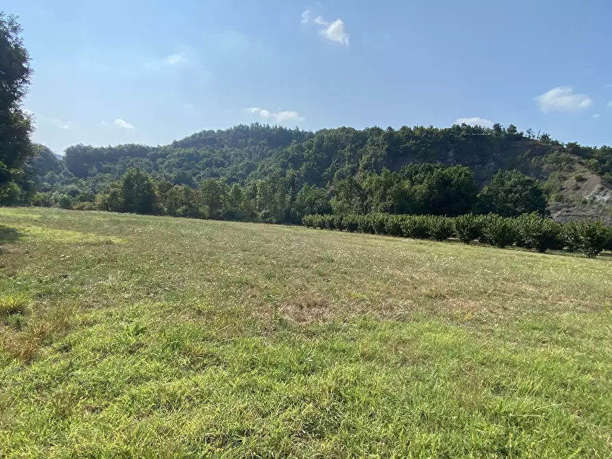 Immagine 6 di Villa in vendita  in Località Fogli 75 a Ponzone