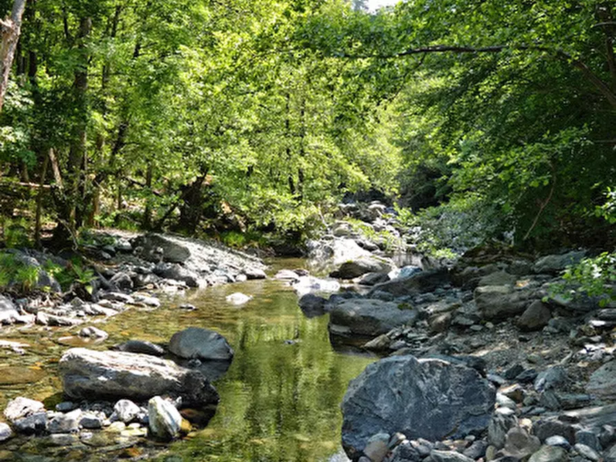 Immagine 37 di Rustico / casale in vendita  in Via Dano a Sassello