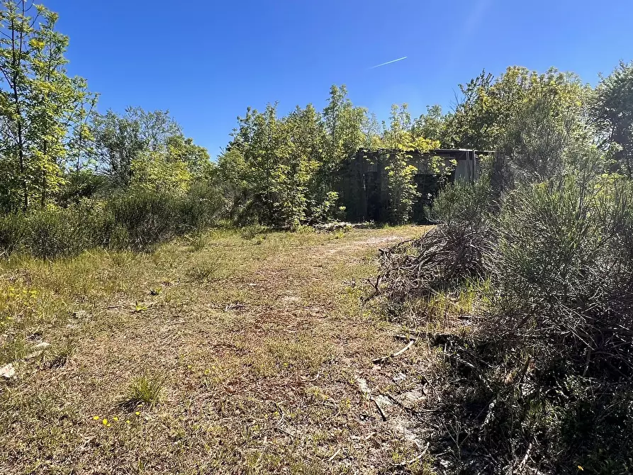 Immagine 7 di Villa in vendita  in Località Colafee 100 a Ponzone