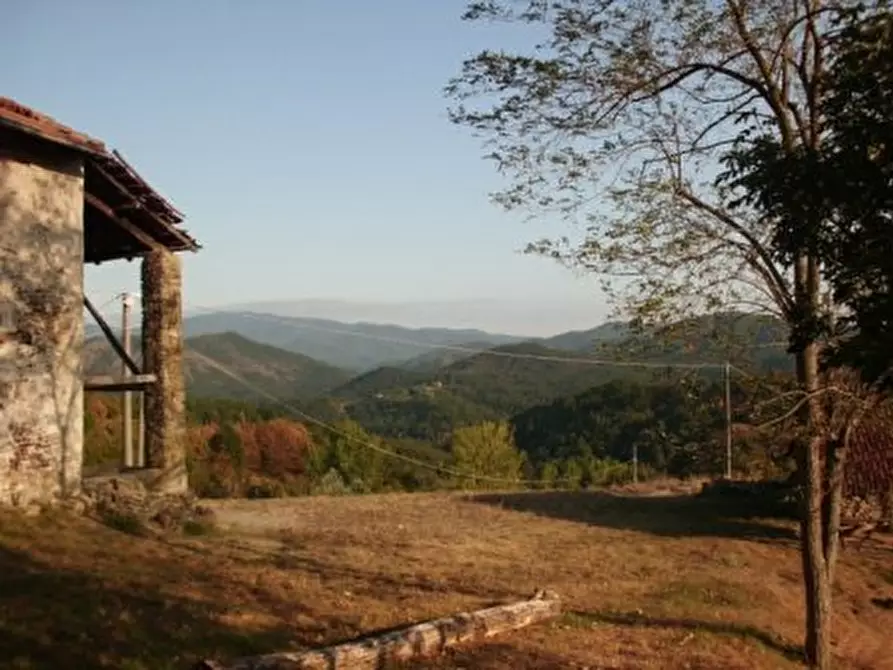 Immagine 2 di Rustico / casale in vendita  a Pareto