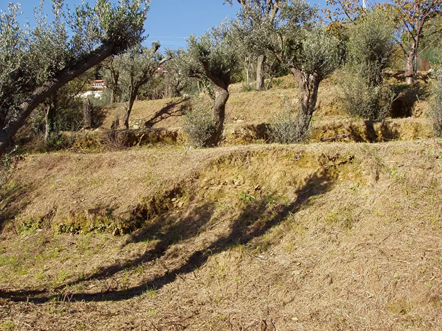 Immagine 5 di Villa in vendita  a Varazze