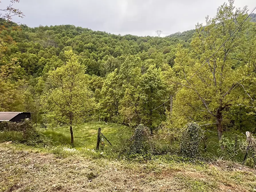 Immagine 7 di Rustico / casale in vendita  in Strada Pessina - Batresca 333 a Ponzone