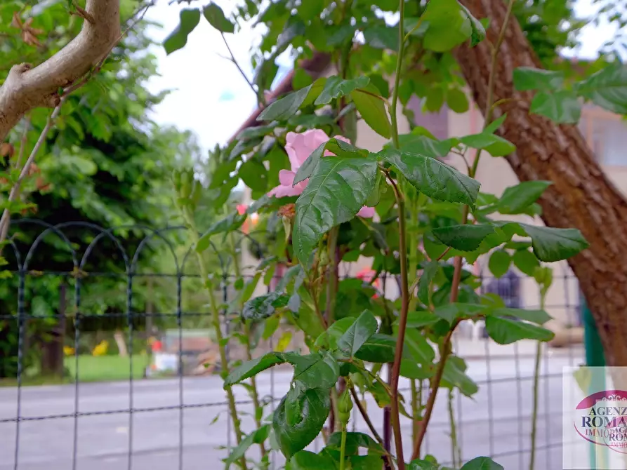 Immagine 7 di Rustico / casale in vendita  in Via Giovo 130 a Pontinvrea