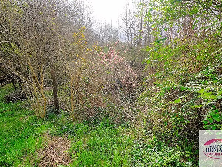 Immagine 23 di Porzione di casa in vendita  in SP542 24 a Giusvalla