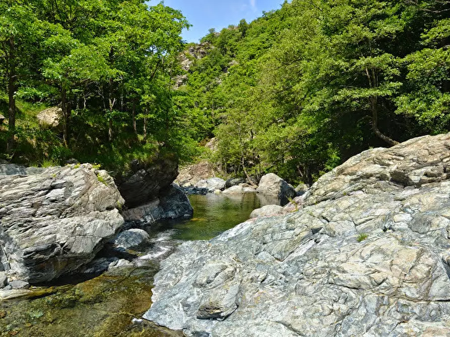 Immagine 31 di Rustico / casale in vendita  in Via Dano a Sassello