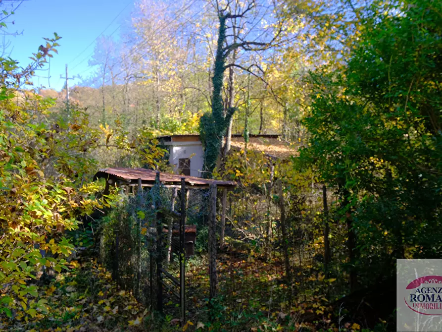 Immagine 14 di Casa indipendente in vendita  a Urbe