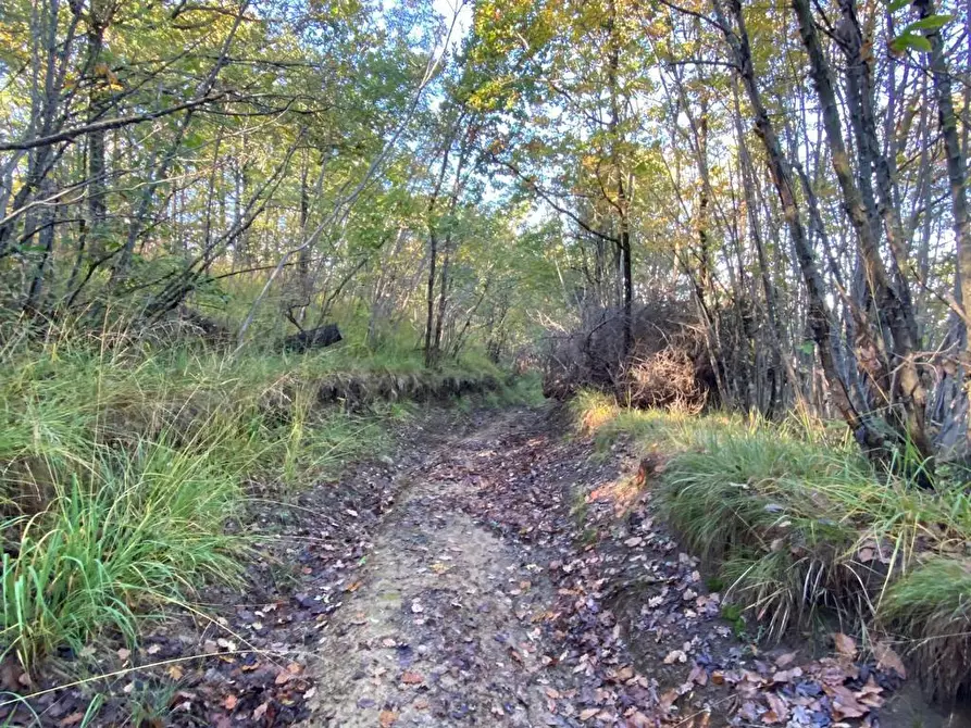 Immagine 16 di Rustico / casale in vendita  in Loc Ormei a Ponzone
