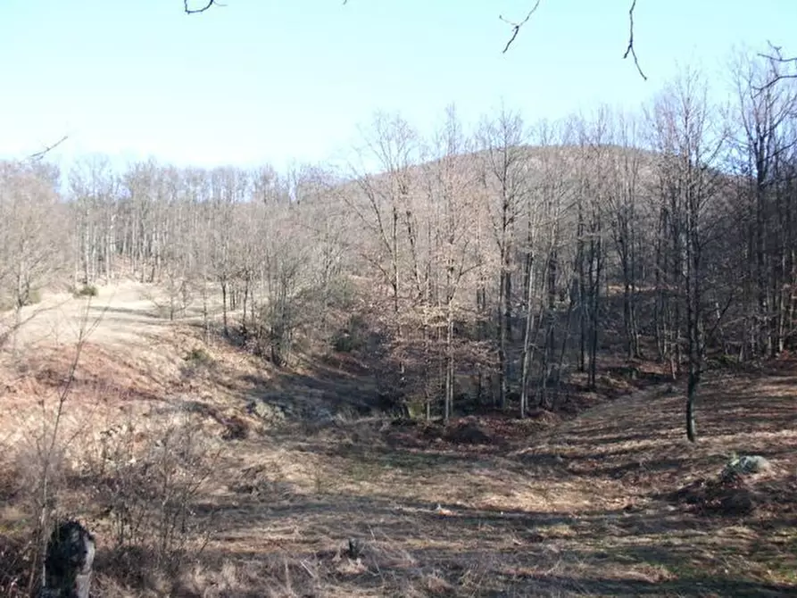 Immagine 29 di Rustico / casale in vendita  in SP542 25 a Pontinvrea