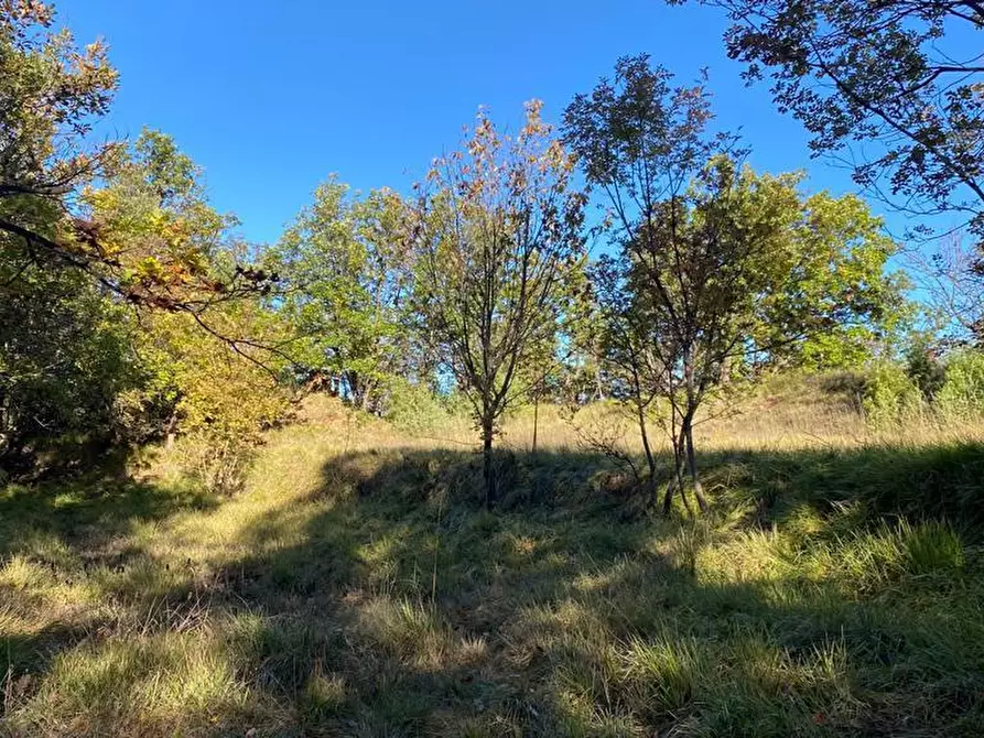 Immagine 9 di Rustico / casale in vendita  in Loc Ormei a Ponzone