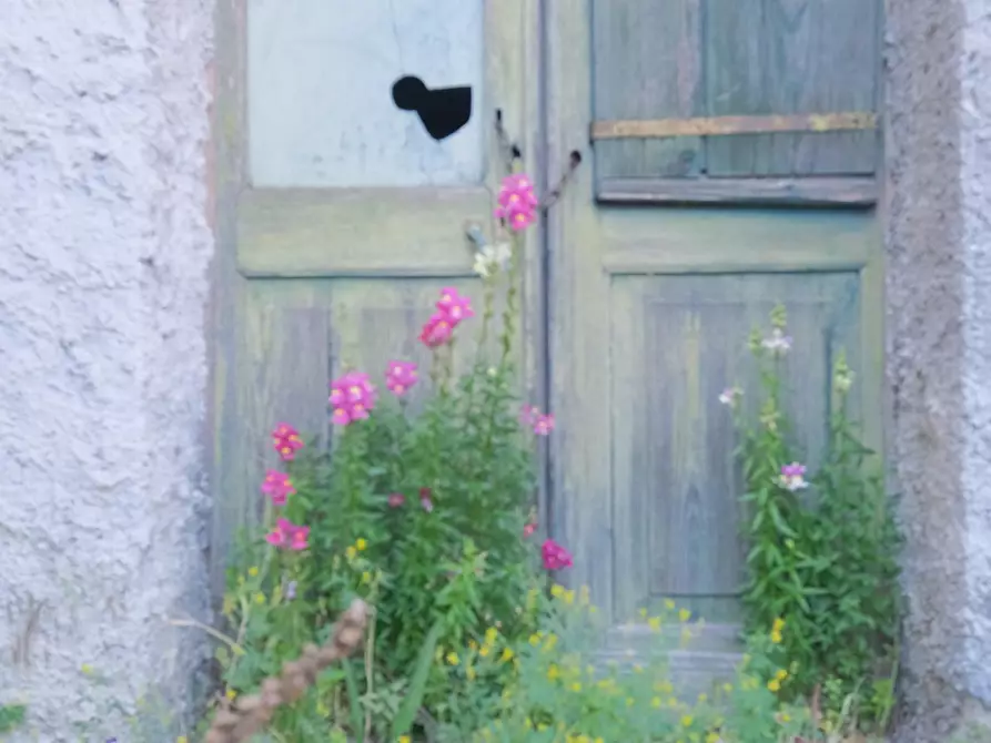 Immagine 4 di Rustico / casale in vendita  a Mioglia