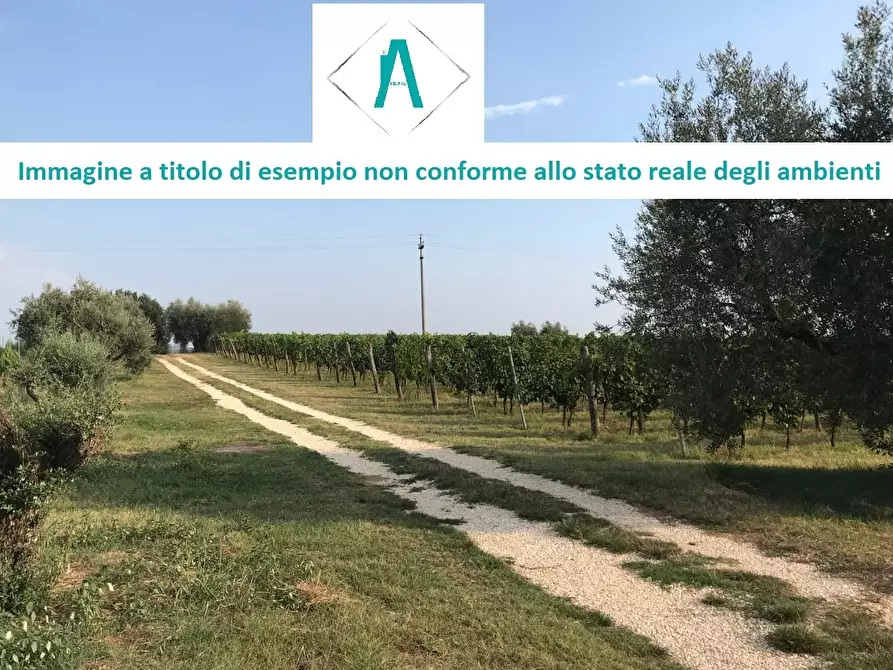 Immagine 5 di Terreno edificabile in vendita  in Strada Acqui Cantalupo snc a Alessandria