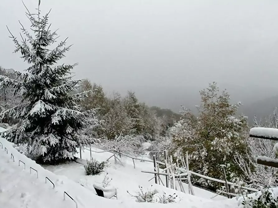 Immagine 19 di Villa in vendita  in Località Cà Lodola 1 a Calice Ligure