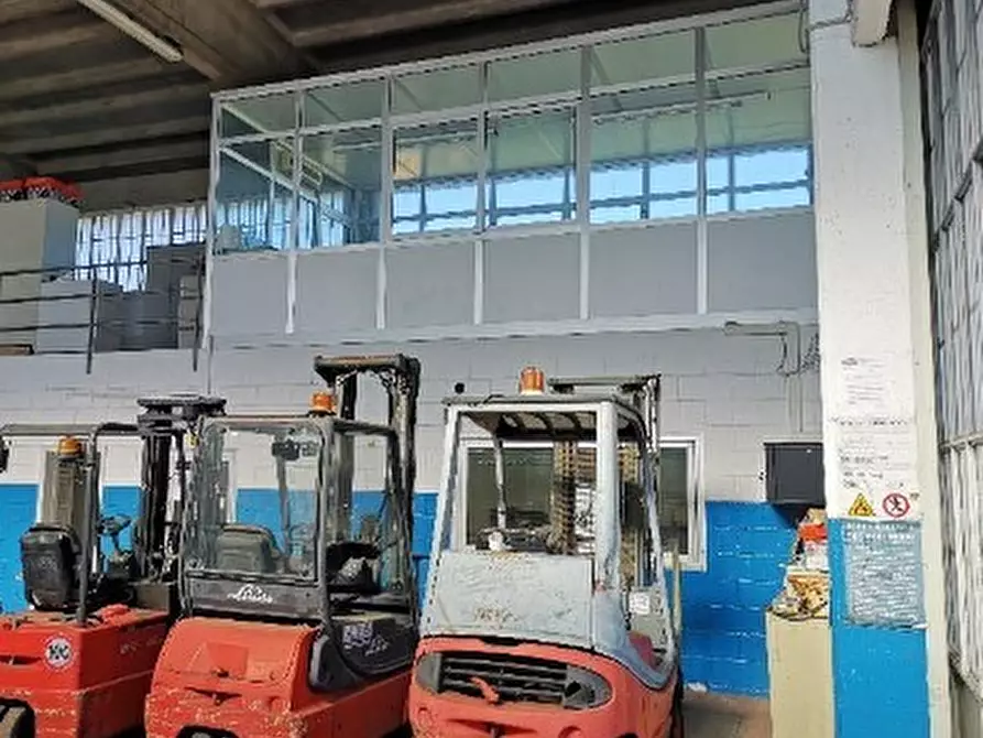 Immagine 4 di Attività artigianale in vendita  in Regione Rollo 14 a Albenga