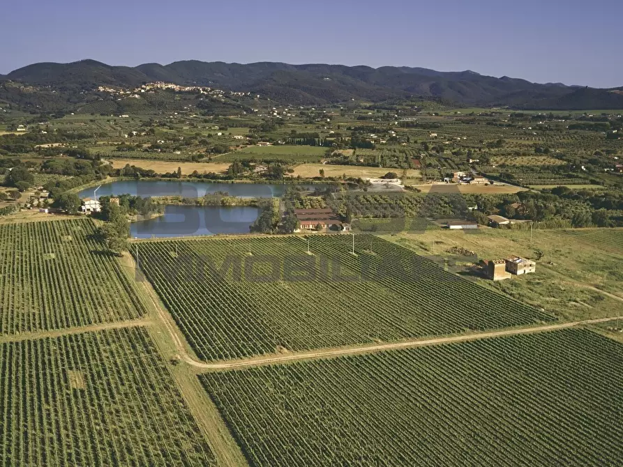 Immagine 12 di Terratetto in vendita  in greppi cupi 212 a Castagneto Carducci