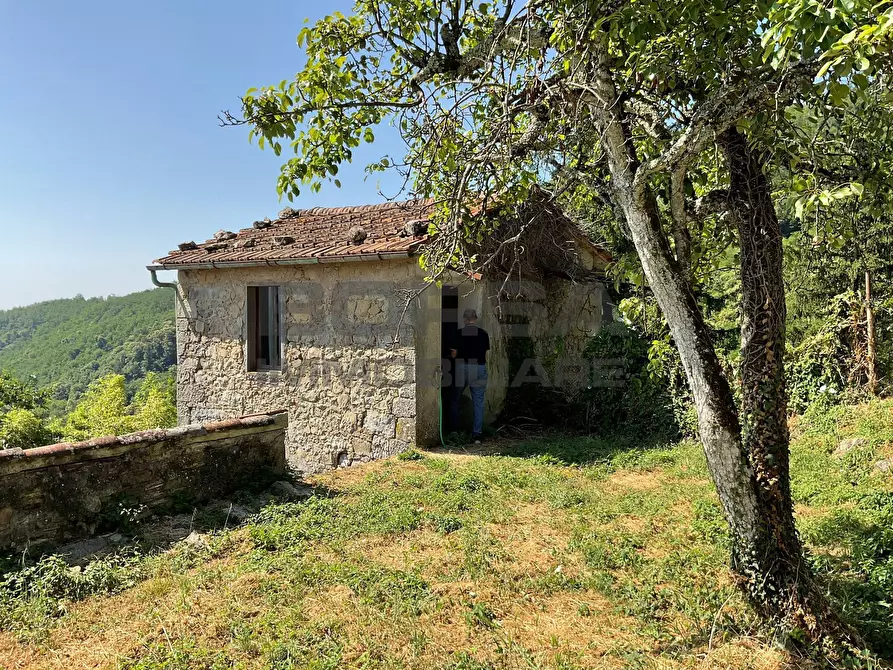 Immagine 51 di Rustico / casale in vendita  in via case geri e selvapiana a Pistoia