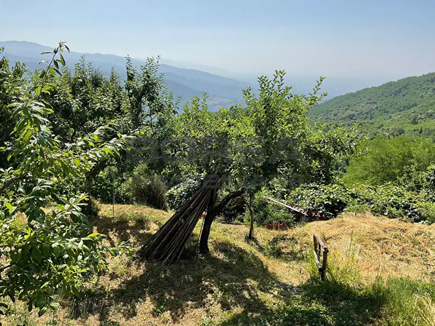 Immagine 12 di Rustico / casale in vendita  in via case geri e selvapiana a Pistoia