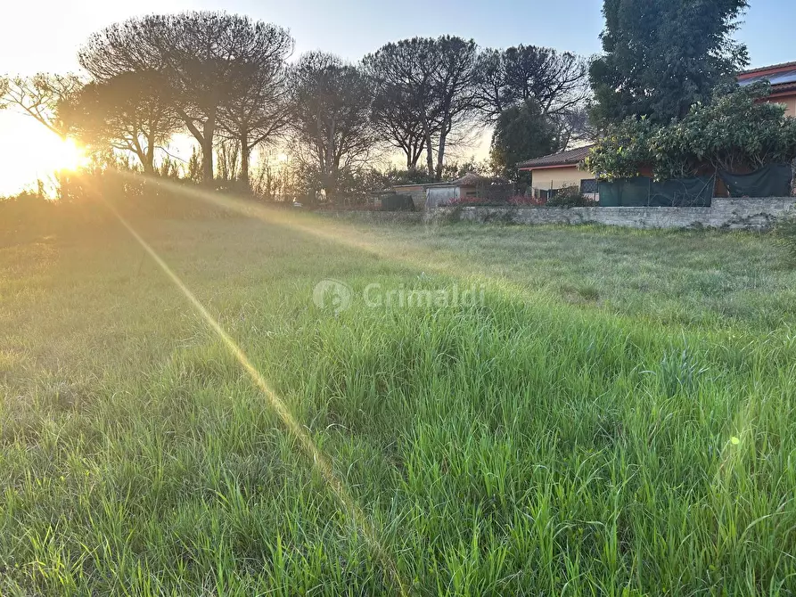 Immagine 1 di Terreno agricolo in vendita  in Via Gavi 6 a Aprilia