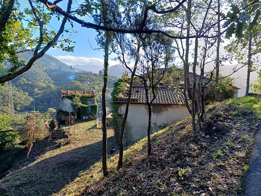 Immagine 15 di Rustico / casale in vendita  in Via Olivella Caminata 17 a Casarza Ligure