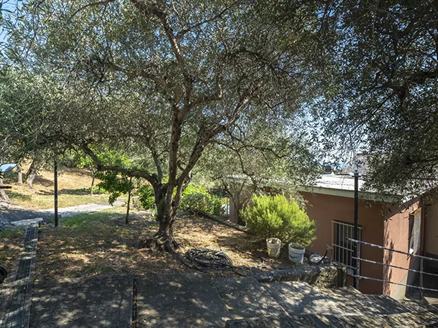 Immagine 24 di Casa indipendente in vendita  in Via Tedisio 133 a Lavagna