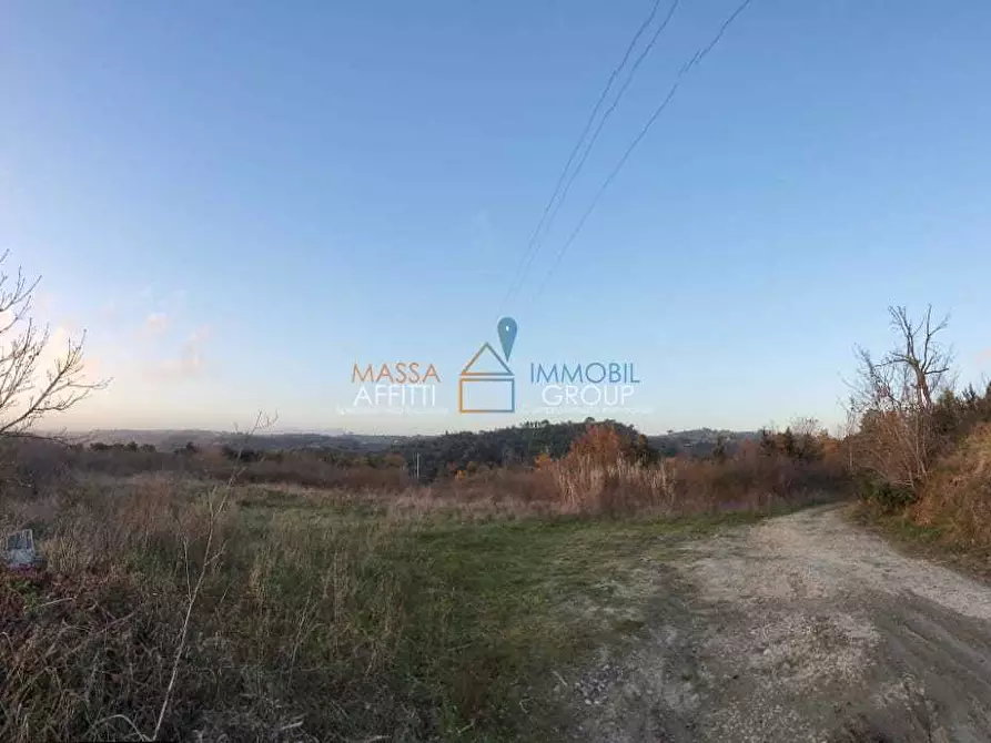 Immagine 7 di Terreno agricolo in vendita  in Via Carbonaia a Palaia