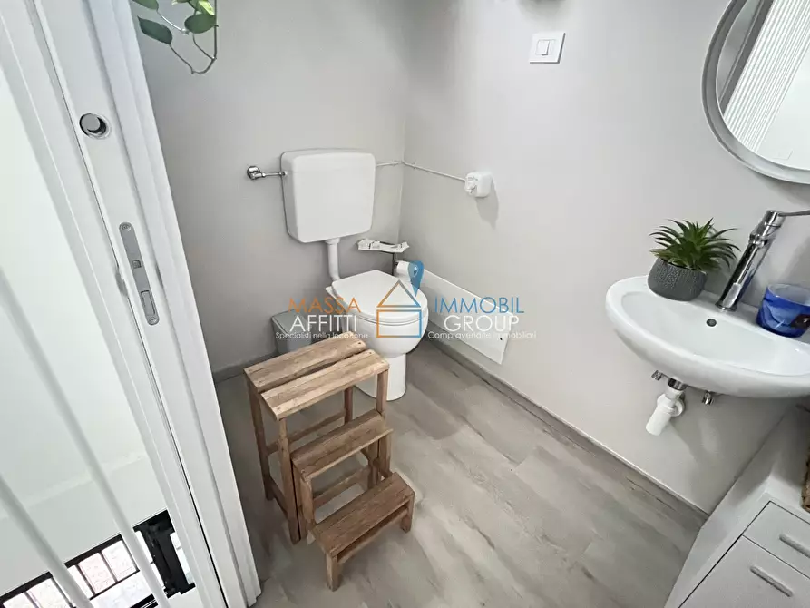 Immagine 13 di Locale commerciale in affitto  in Viale Roma 203 a Massa