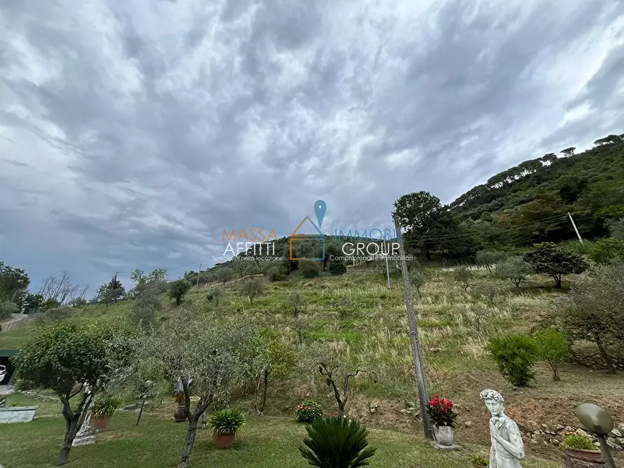 Immagine 14 di Villa in vendita  in Via Vitali 25 a Massa