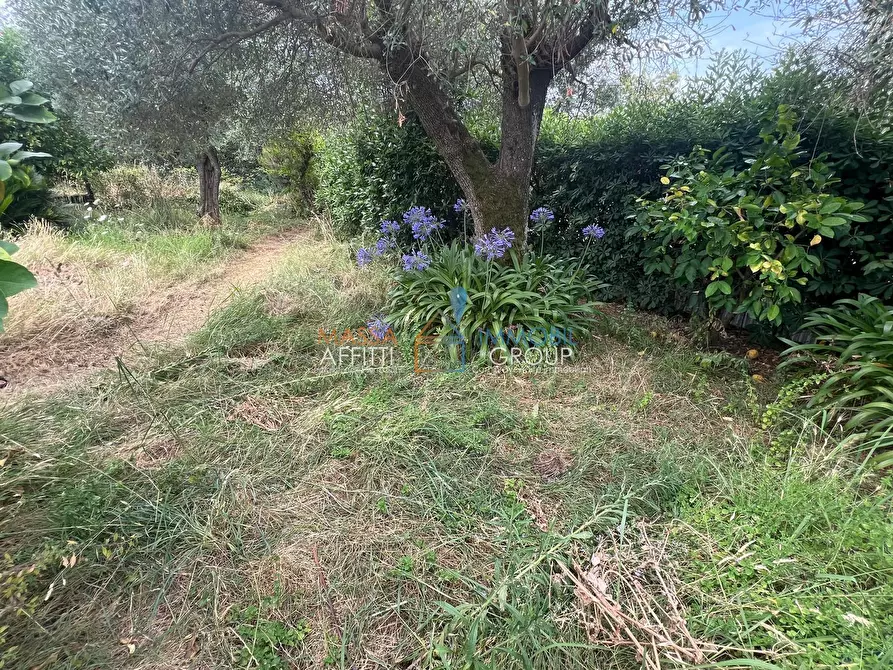Immagine 1 di Terreno agricolo in vendita  in Via San Giuseppe Vecchio 37 a Massa