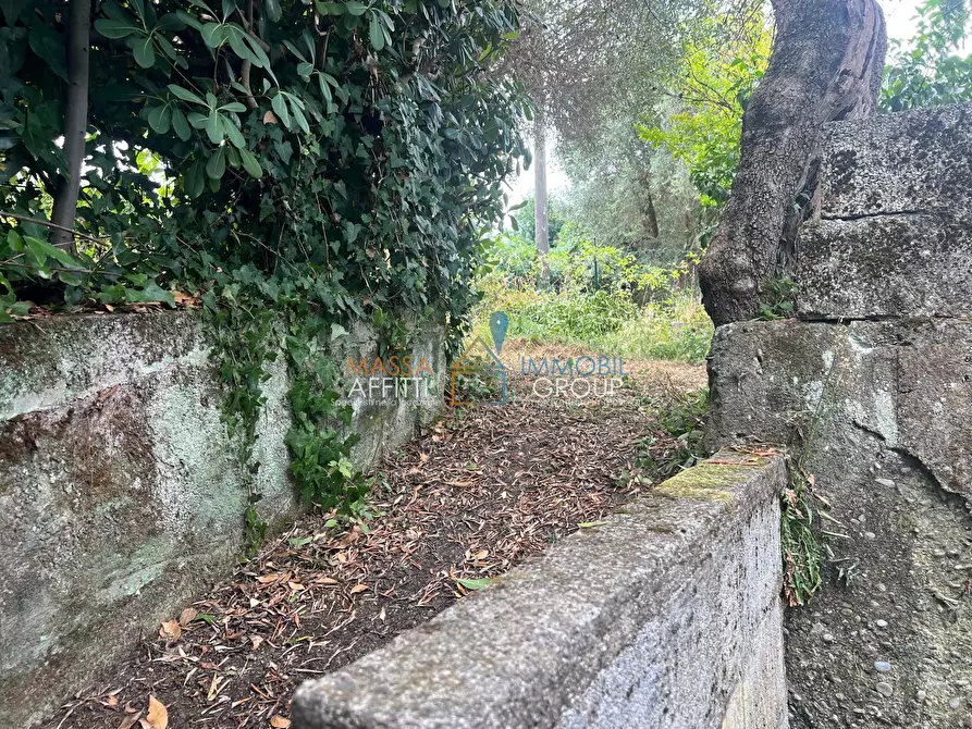 Immagine 8 di Terreno agricolo in vendita  in Via San Giuseppe Vecchio 37 a Massa