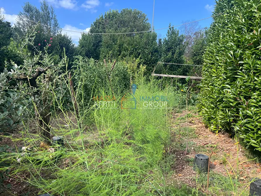 Immagine 7 di Attività artigianale in vendita  in Via Torretta 37 a Pietrasanta