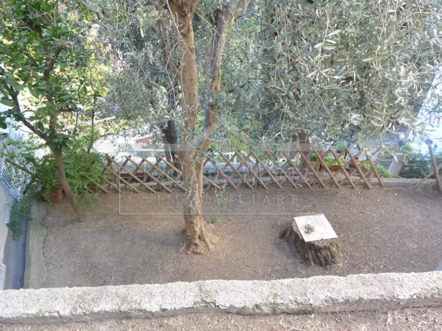 Immagine 32 di Pentalocale in vendita  in Via Montegrappa 4 a Savona