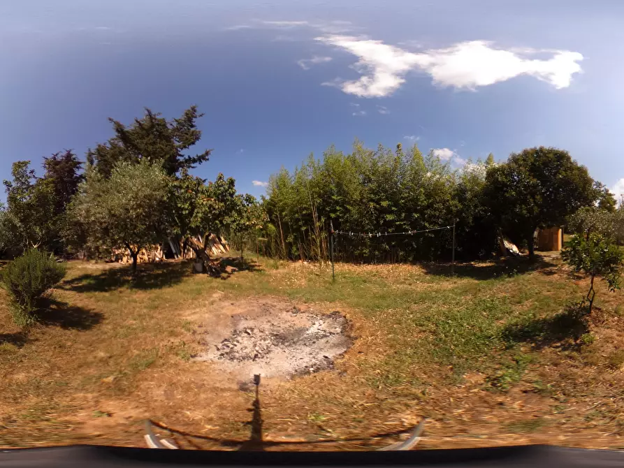 Immagine 24 di Terreno agricolo in vendita  in Via dell'Uliveta a Livorno