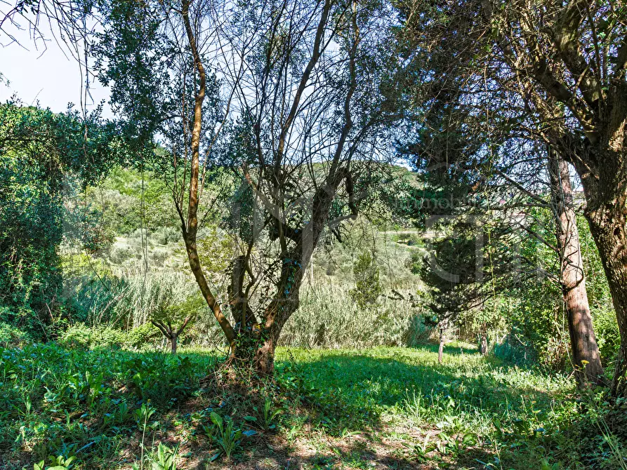 Immagine 103 di Villa in vendita  in Via Parrana San Martino a Collesalvetti