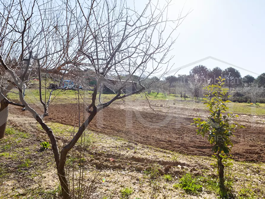 Immagine 11 di Terreno agricolo in vendita  in Via delle Sorgenti a Livorno