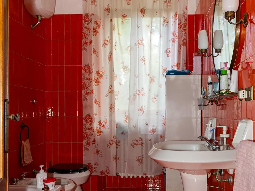 Immagine 9 di Villa in vendita  in Via Delle Corti a Collesalvetti