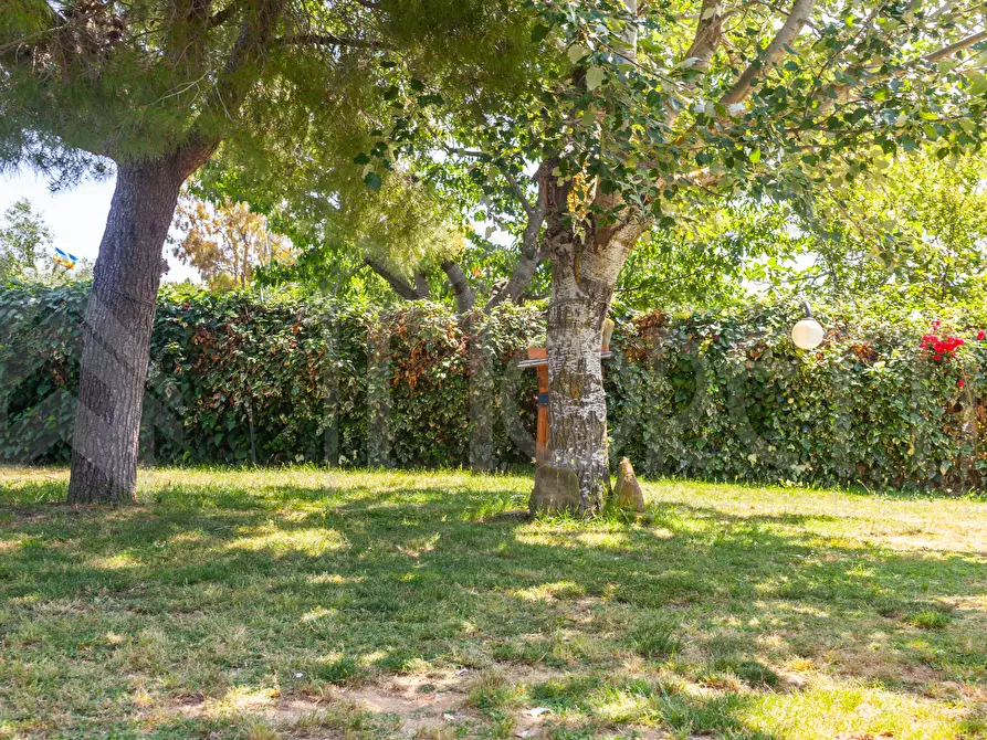Immagine 7 di Terreno agricolo in vendita  in Via dell'Uliveta a Livorno