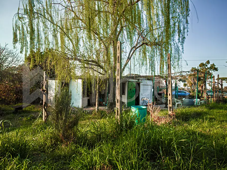 Immagine 9 di Terreno agricolo in vendita  in Via delle Sorgenti a Livorno