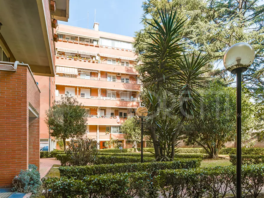 Immagine 48 di Quadrilocale in vendita  in Via del Vigna a Livorno