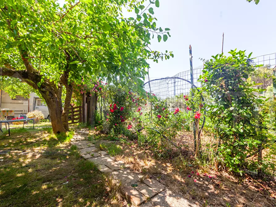 Immagine 19 di Terreno agricolo in vendita  in Via dell'Uliveta a Livorno