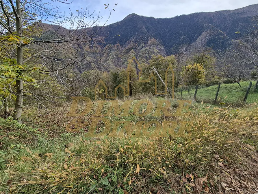 Immagine 43 di Casa indipendente in vendita  in Valleggia a Montescheno
