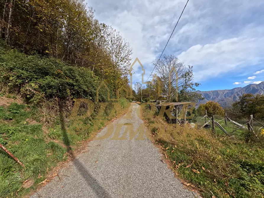 Immagine 3 di Casa indipendente in vendita  in Valleggia a Montescheno