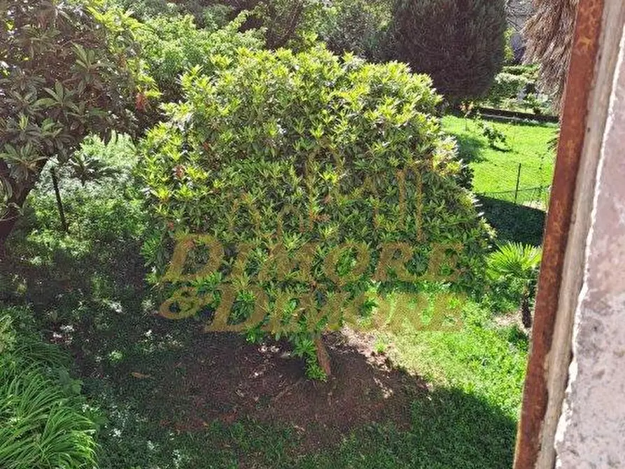 Immagine 23 di Rustico / casale in vendita  a Cannobio