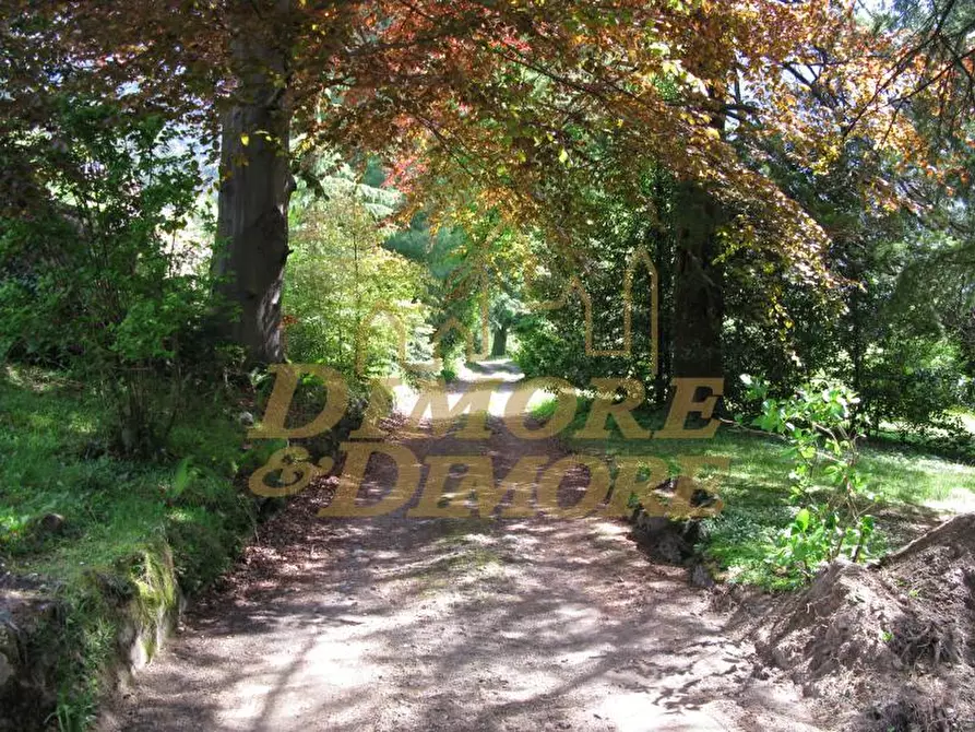 Immagine 23 di Villa in vendita  in Via Fontana 3 a Varzo