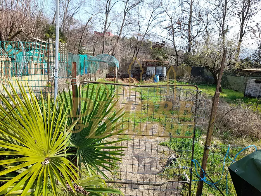 Immagine 2 di Terreno agricolo in vendita  a Verbania