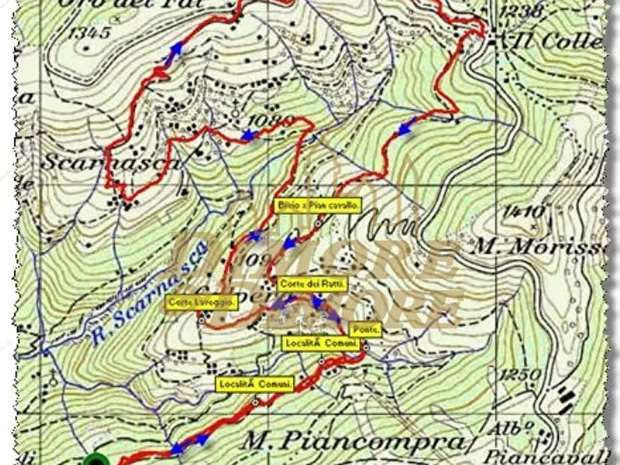 Immagine 26 di Baita in vendita  in Via Giulio Pastore 7 a Aurano