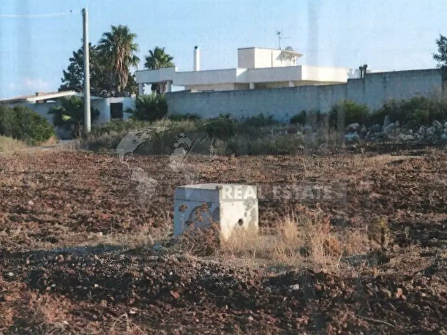 Immagine 9 di Terreno agricolo in vendita  in Via del Codibugnolo a Lecce
