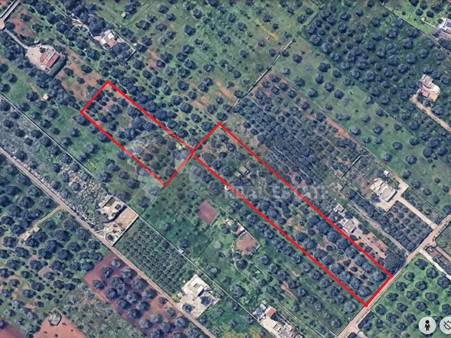 Immagine 18 di Terreno agricolo in vendita  in Contrada San Nicola 21 a Carovigno