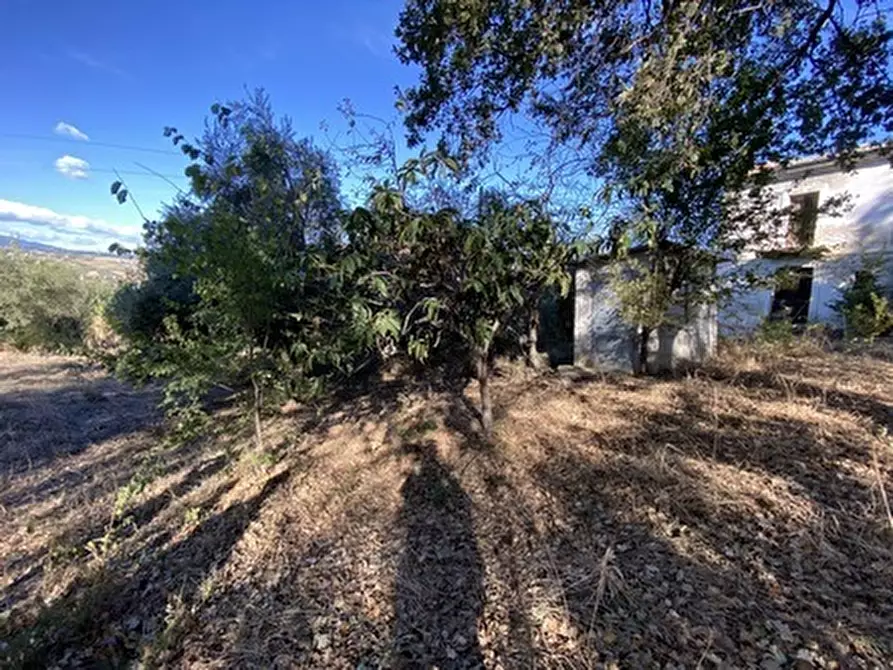 Immagine 3 di Porzione di casa in vendita  in CONTRADA PORRECHI a Castel Frentano